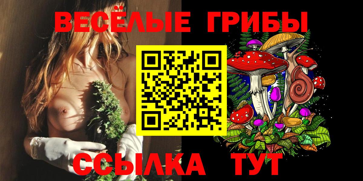 Псилоцибиновые грибы Psilocybine cubensis Сатка